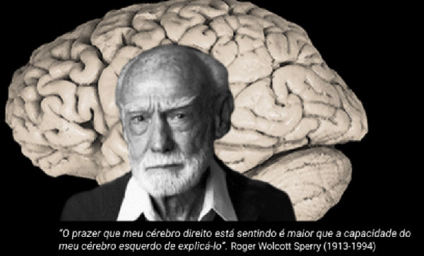 Roger Sperry - Os dois lados do cérebro