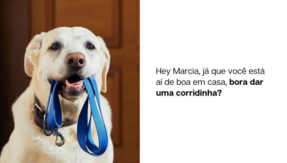 meme home office Quando você está respondendo e-mails, mas seu pet decide que é hora de brincar