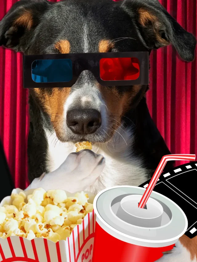 Quer transformar sua  sala em um cinema de verdade?